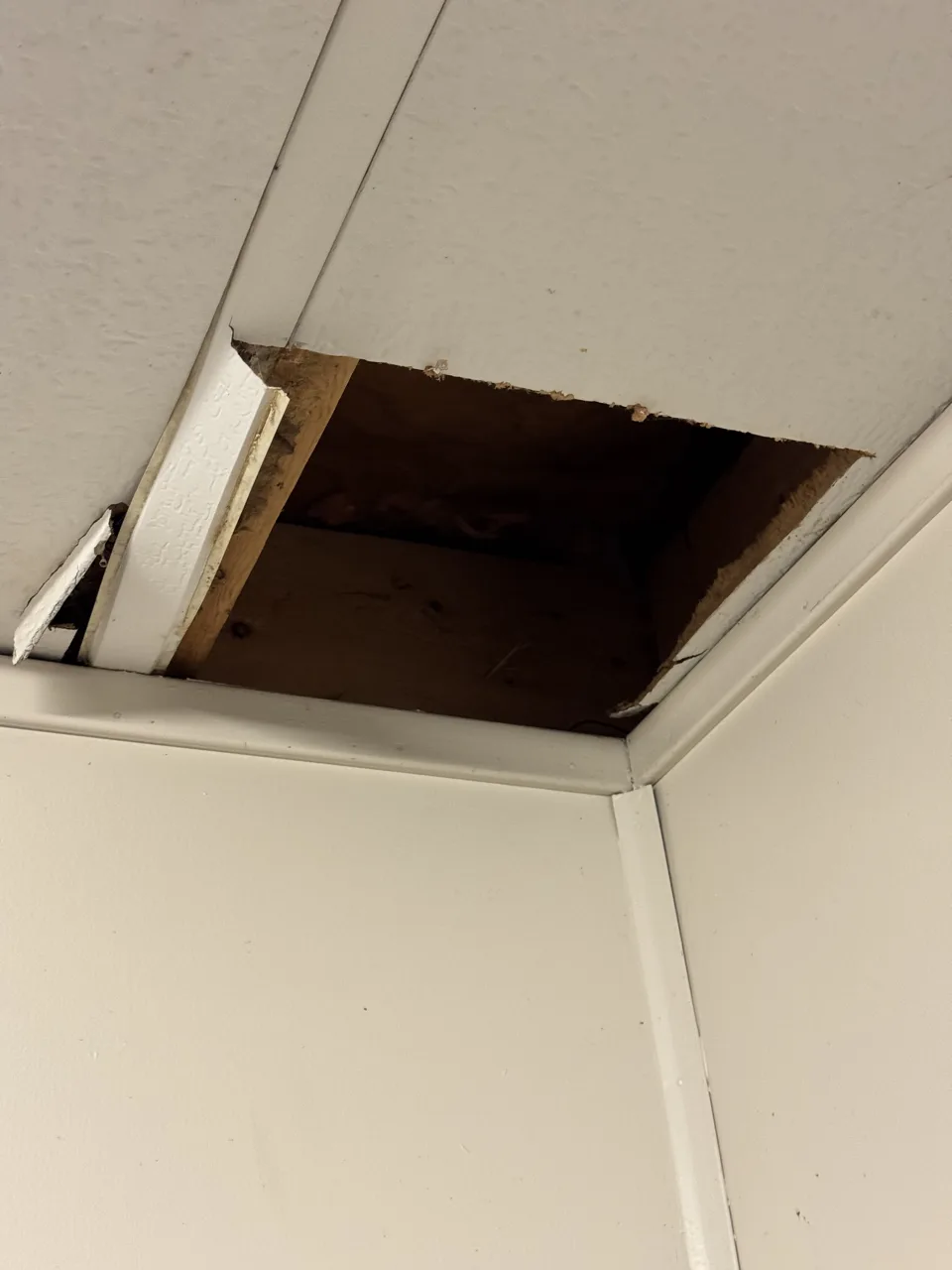 Small ceiling test opening cut during an inspection to confirm the condition of the structure above, closed and sealed the same day