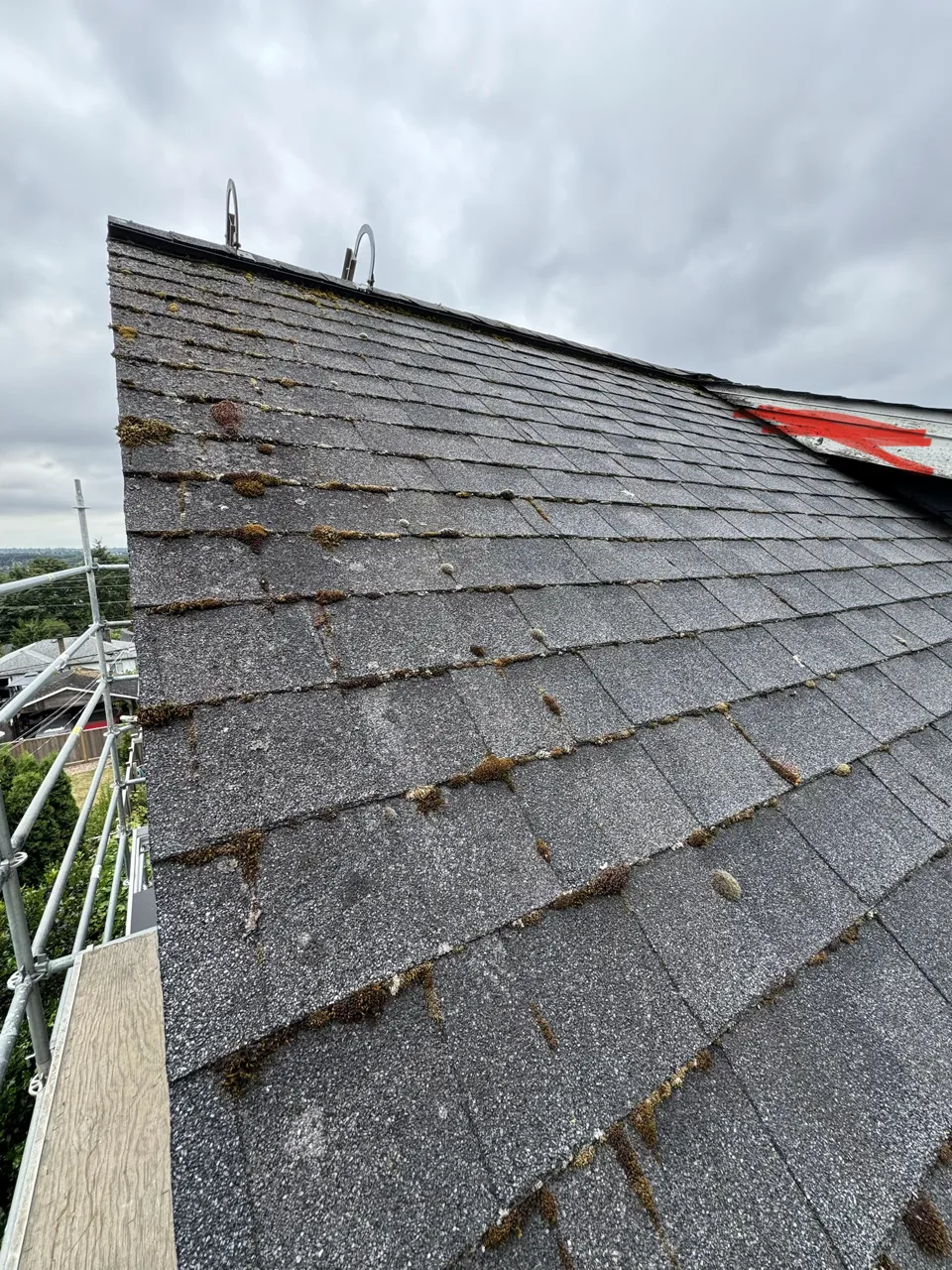 Scaffolding erected along a moss-covered strata roof slope during envelope renewal work