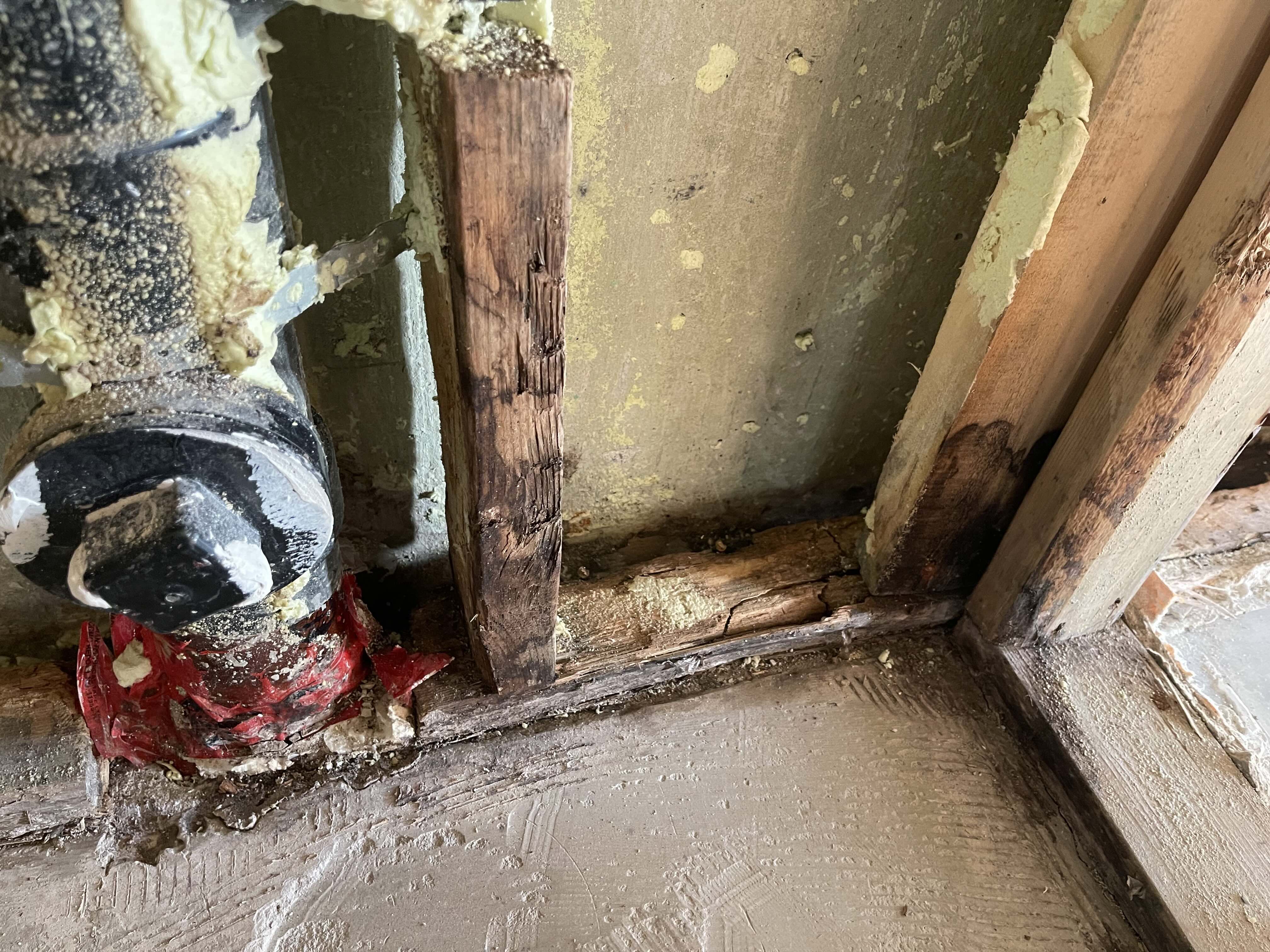 Water-damaged rotted framing requiring structural replacement after burst pipe — Eurohouse Construction water damage reconstruction