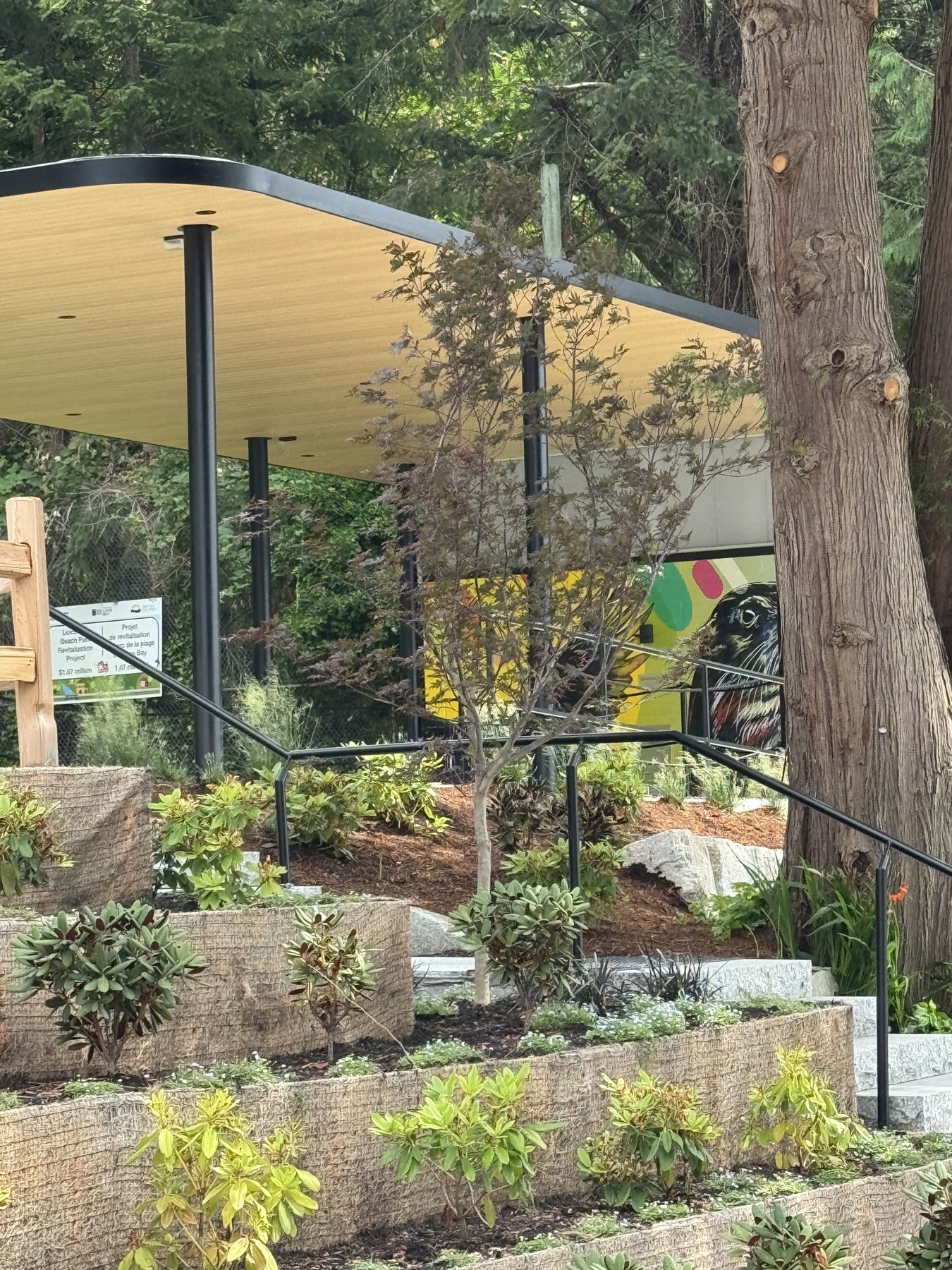 Terraced retaining walls and landscape planting at Lions Bay Beach Park